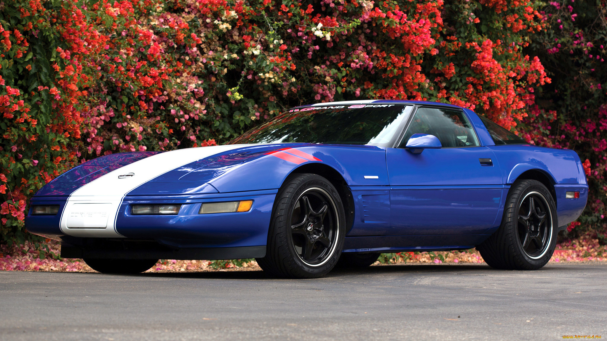 chevrolet corvette grand sport